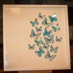 Details: Schmetterlingsbild Blau