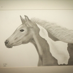 Details: Zeichnung Pferd 4